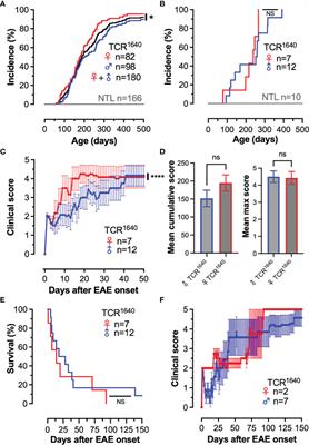 Frontiers | A Spontaneous Model of Experimental Autoimmune